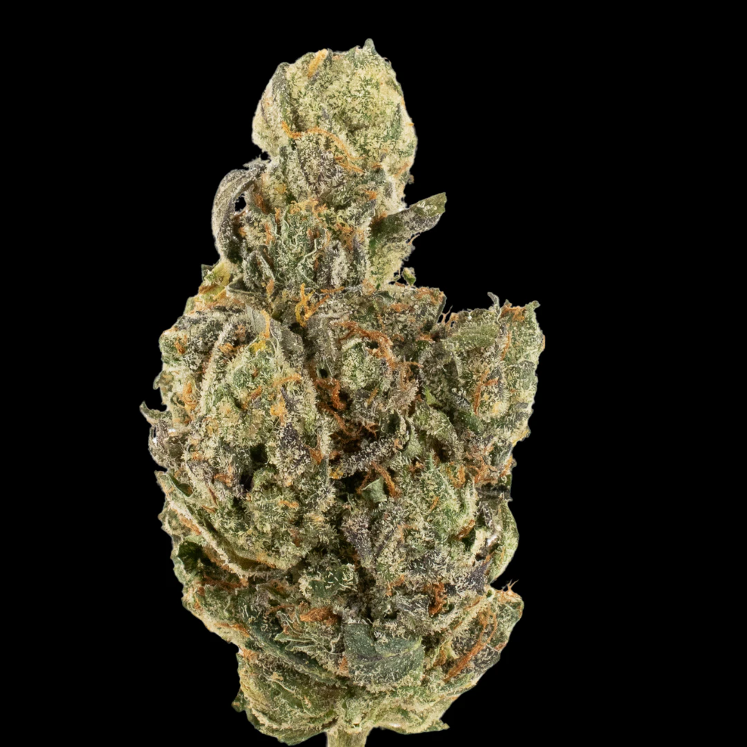 MDBX Farms - $7g Rainbow Sherbert #11 - By the Gram Main Image