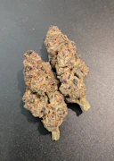 $7g Red Guava - By the Gram