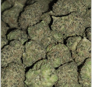 Sticky Treez - Sticky Treez - Durban Poison - 3.5g