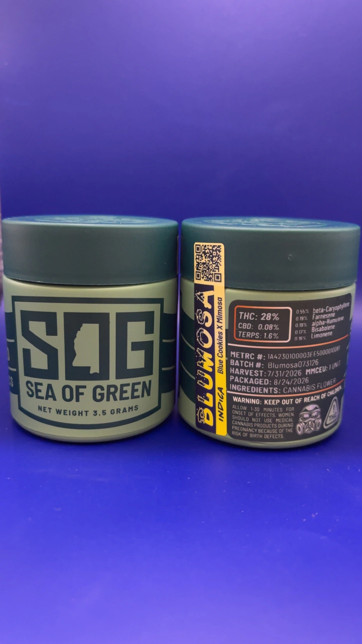 Sea of Green - SOG - Blumosa - 3.5g Main Image
