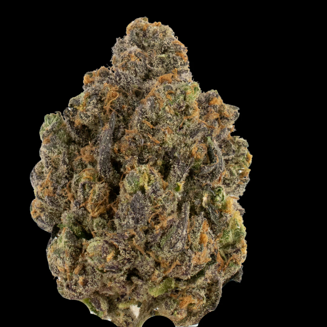 Cannabis Flower - $10g Caribbean Breeze - By the Gram Main Image