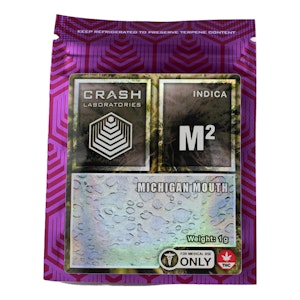 Crash Labs - Michigan Mouth Shatter 1g - Crash Labs