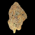 $7g Road Apple - By the Gram