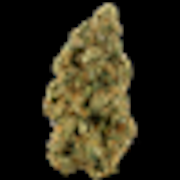 $6g Motor Breath - By the Gram