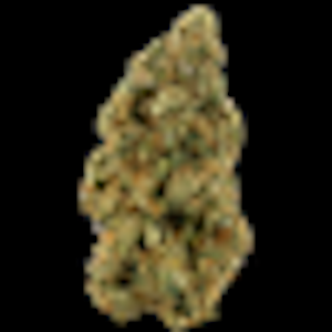 Cannabis Flower - $6g Motor Breath - By the Gram