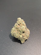 $7g Possum - By the Gram