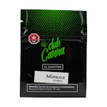Mimosa Shatter - 1g - Club Canna