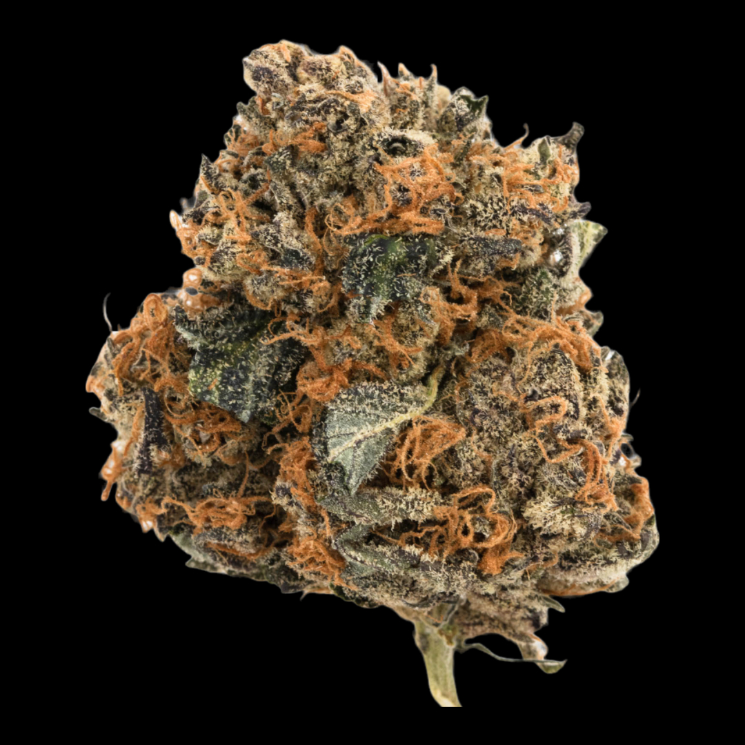$5g Black Dog - 14g - Best Cannabis In Town - The Medicin