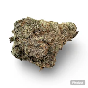 $7g Gelato 45 - By the Gram