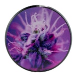 Flowering 4 Piece Grinder - Pulsar