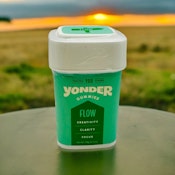 RR - Yonder | Flow Green Apple 100mg