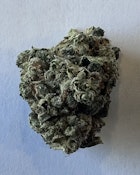 BCF - Apple Gushers (1oz) HYBRID
