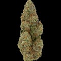 $7g Strawberry Cream - By the Gram