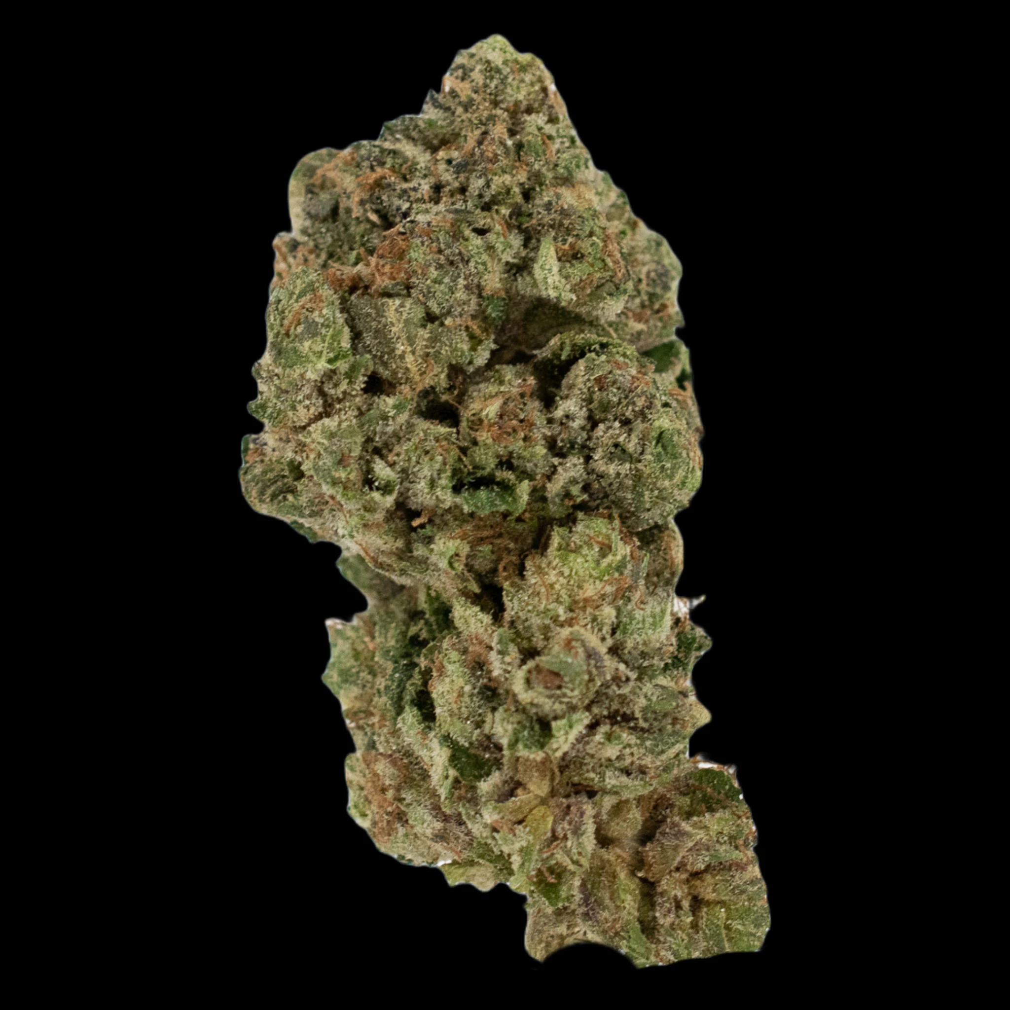 MDBX Farms - $6g White Tahoe Cookies - By the Gram Main Image