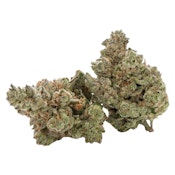 Cactus - Black Triangle - Indica - 3.5g
