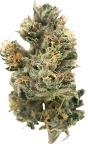 New Altitude Farms - New Altitude - Tropical Funk - 7g