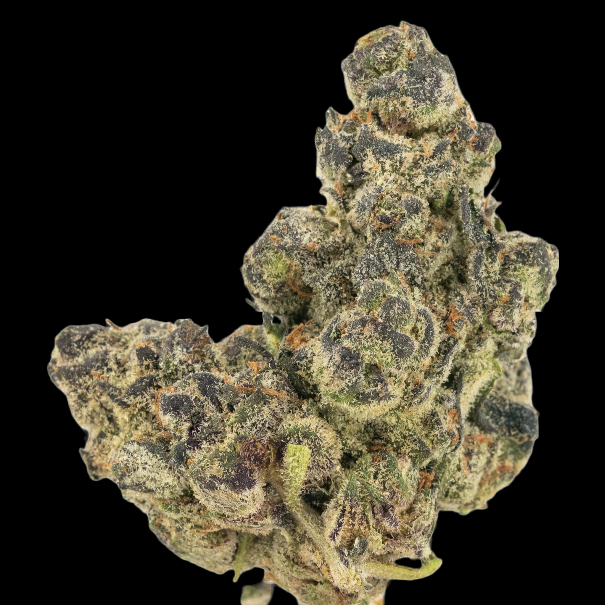 MDBX Farms - $6g Poison Og - By the Gram Main Image