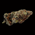 $10g Sherbquake  - By the Gram