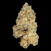 $12g High Bear - By the Gram