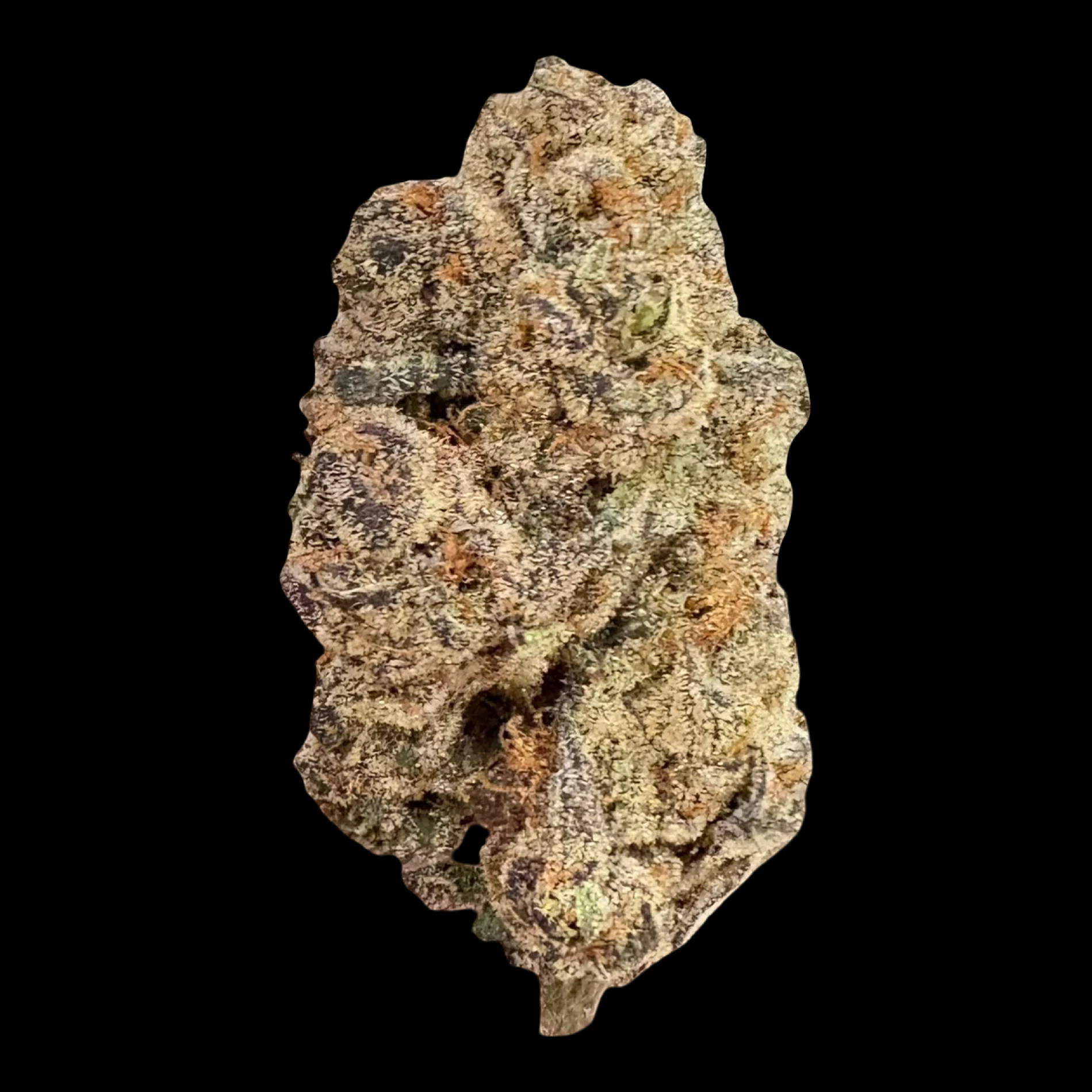 Cannabis Flower - $7g Scotti D - By the Gram Main Image