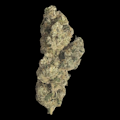 $10g Wild Runtz- By the Gram