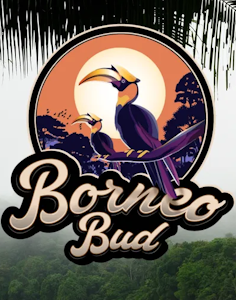 Borneo Bud - Borneo Bud - Lemon Maraschino - 3.5g
