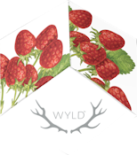 WYLD - Strawberry 20:1 (10mg THC / 200mg CBD) Hybrid Enhanced