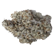 VOLO - Beast Jars - Indica - 14g