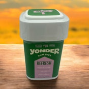 RR - Yonder | Refresh Strawberry Kiwi 100mg