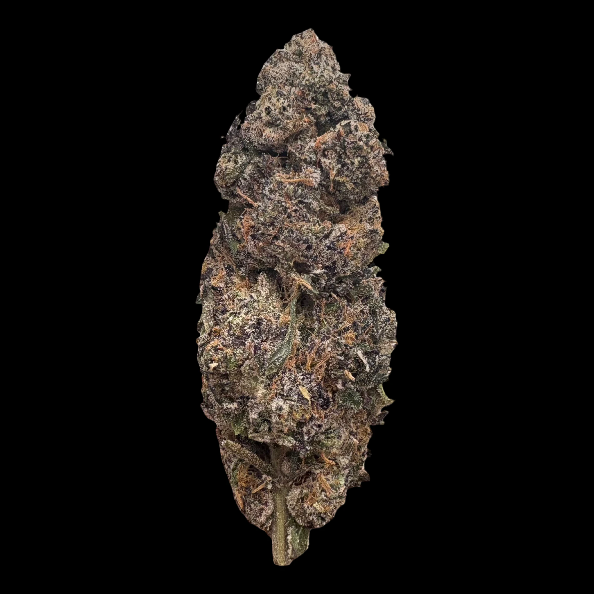 Cannabis Flower - $7g Milk Bubble - By the Gram Main Image
