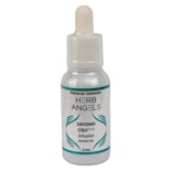 CBD Plus 2400mg Tincture - Herb Angels