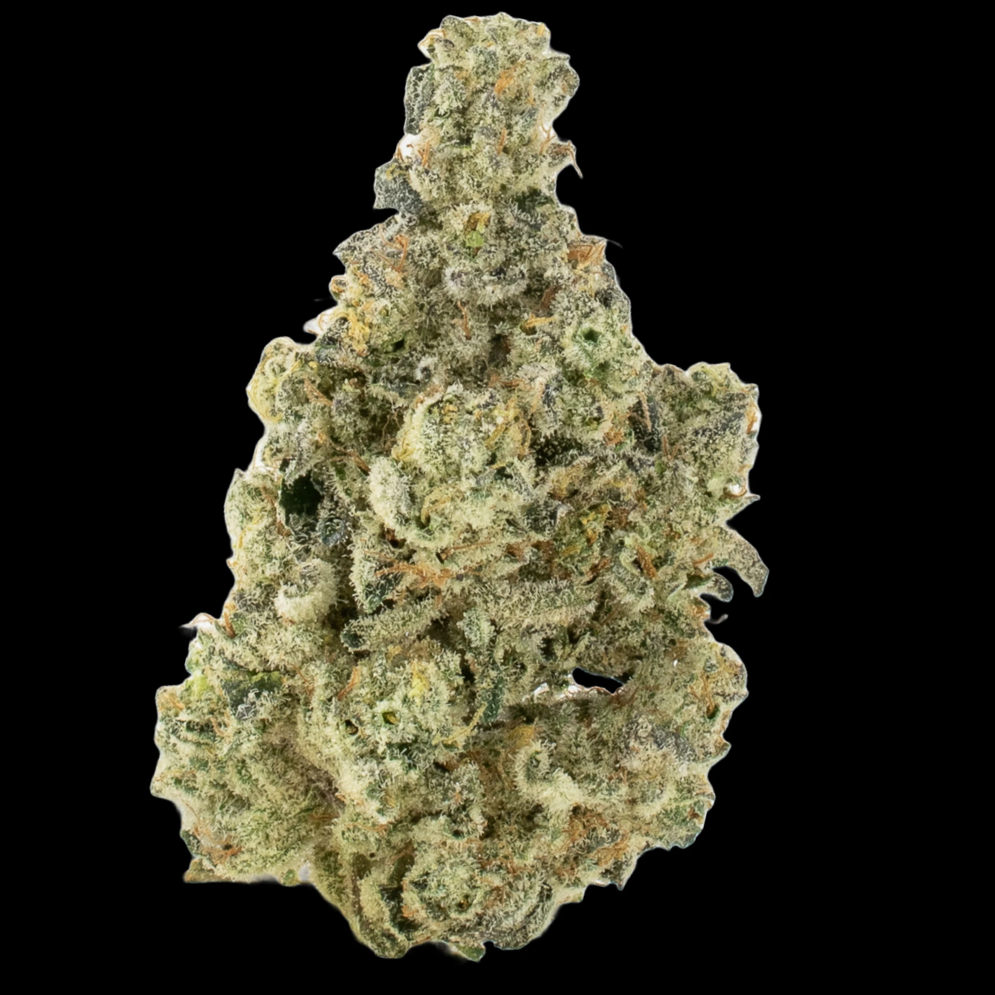 MDBX Farms - $10g Banoreoz - By the Gram Main Image