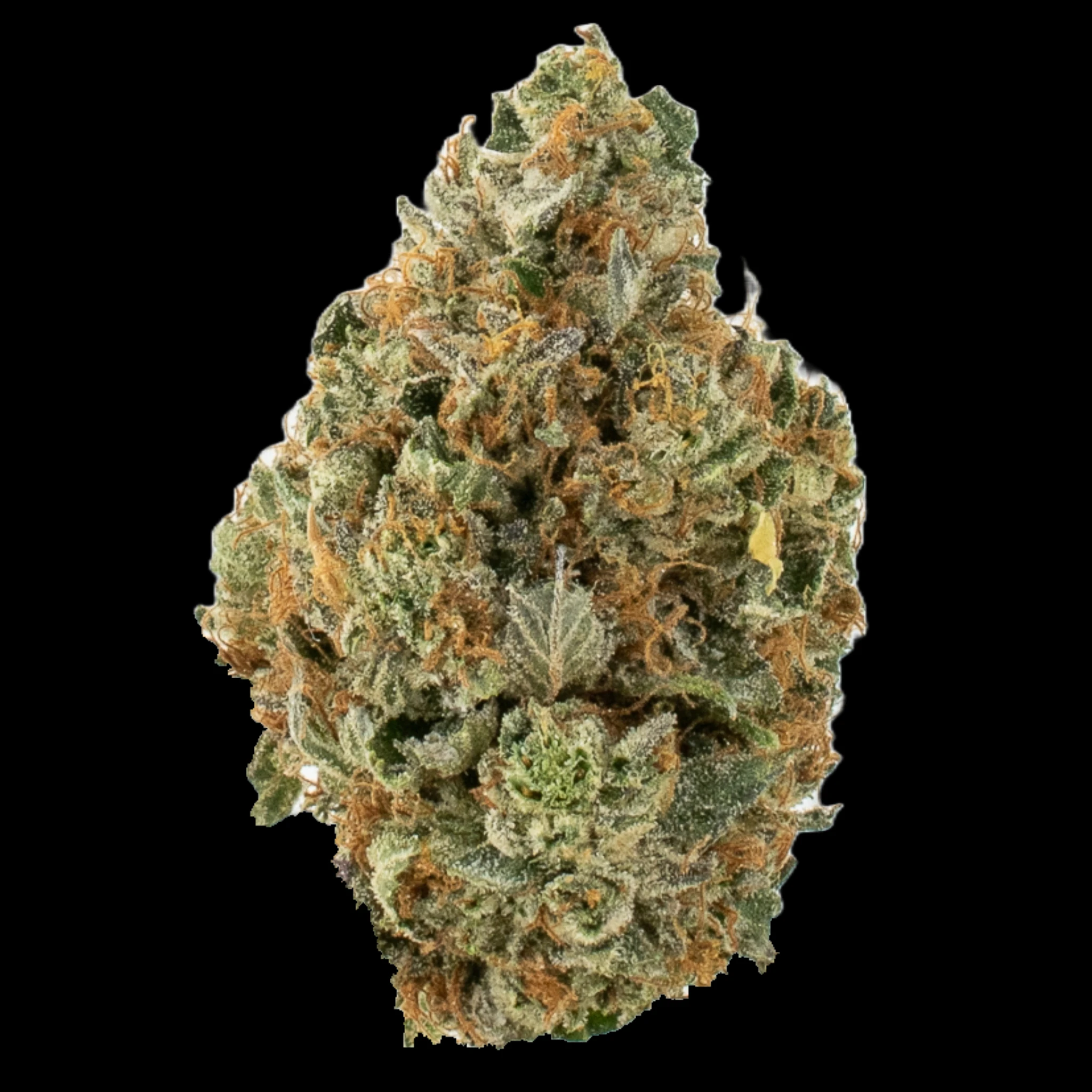 MDBX Farms - $10g Vernon Rockstar - By the Gram Main Image