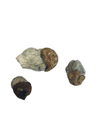 Dino Eggs - Psilocybe Cubensis - Dry Mush