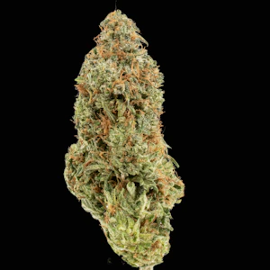 Cannabis Flower - $6g Pink Tesla - By the Gram