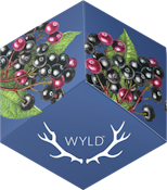 WYLD - Elderberry 2:1 (50mg THC/ 100mg CBN) Indica Enhanced