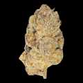 $7g Thin Mint GSC - By the Gram