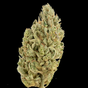 MDBX Farms - $7g Salmon River OG - By the Gram