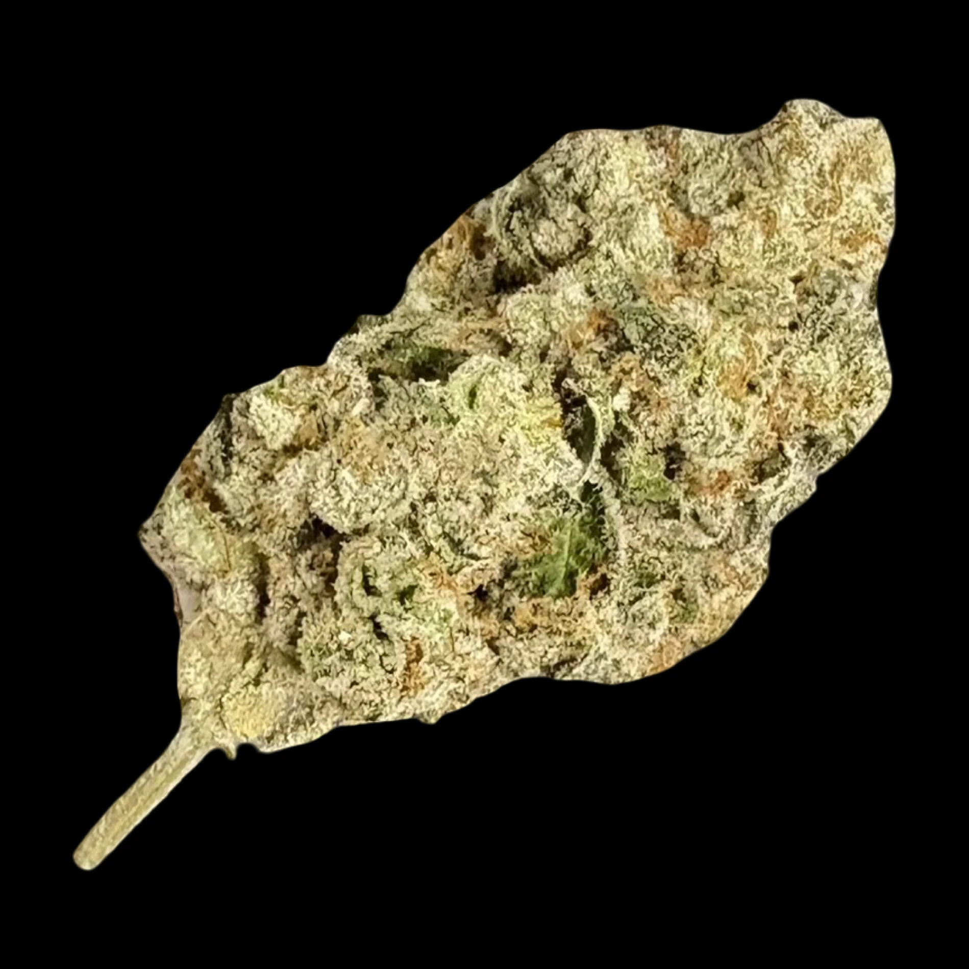 Cannabis Flower - $4g UK Cheese - By the Gram Main Image