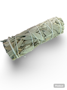 5" Smudge Stick - Sage - Turtle Log Trading Post