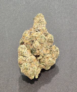 $7g Jack Herer - By The Gram