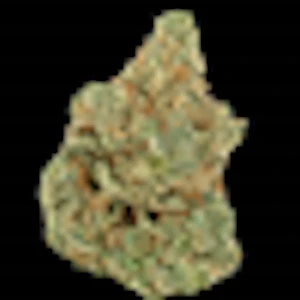 Cannabis Flower - $5g Tuna Destroyer - By the Gram