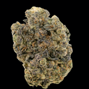 $7g Gelato 41 - By the Gram