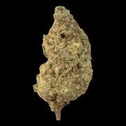 $5g Master Purple - By the Gram