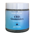 CBD Blue Raspberry Gummies - 500mg - Plant Of Life