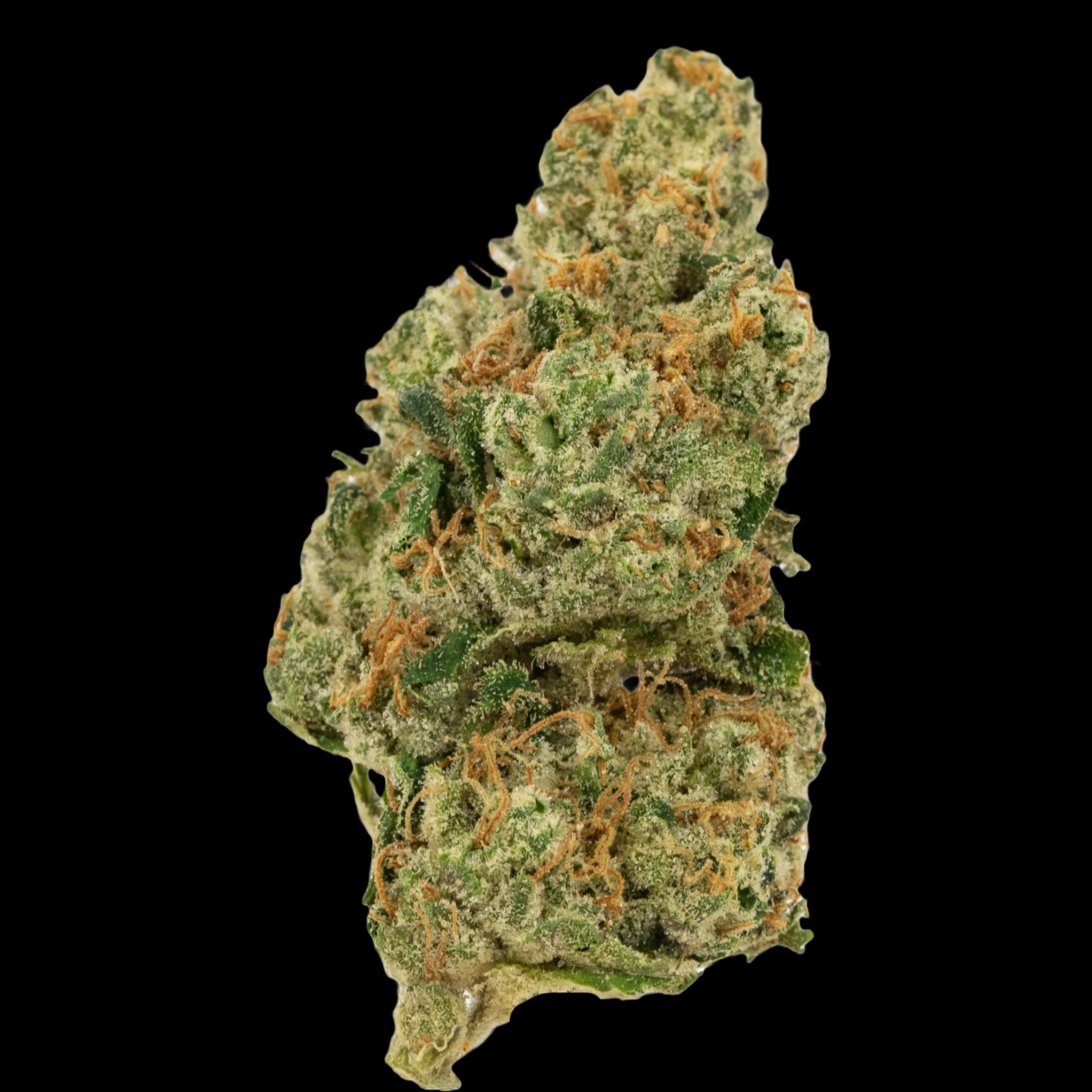 Cannabis Flower - $7g - Wild Runtz - By the Gram Main Image