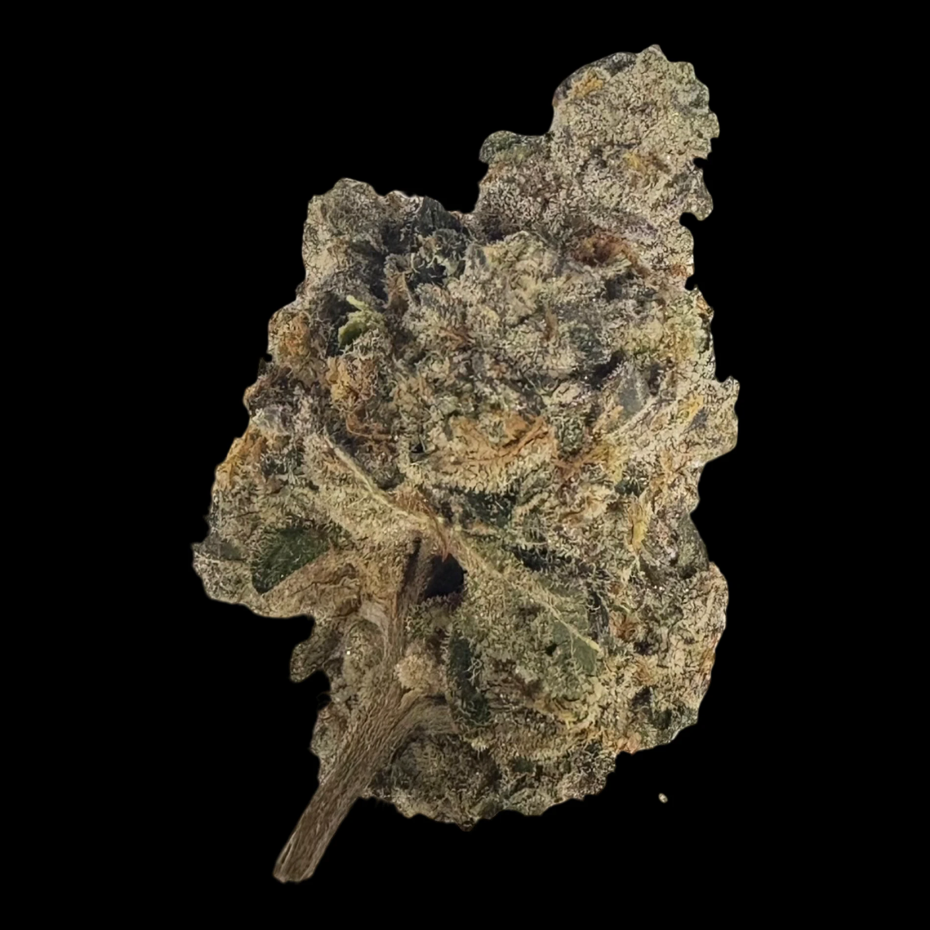 Cannabis Flower - $6g Jealousy - By the Gram Main Image