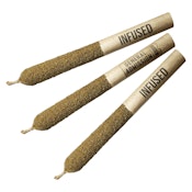 General Admission - Cactus Juice Distillate Infused Pre-Roll - Sativa - 3x0.5g