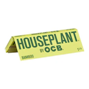 Houseplant Bamboo 1 1/4 - OCB Papers