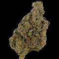 $10g Freshwater Biscotti - By the Gram